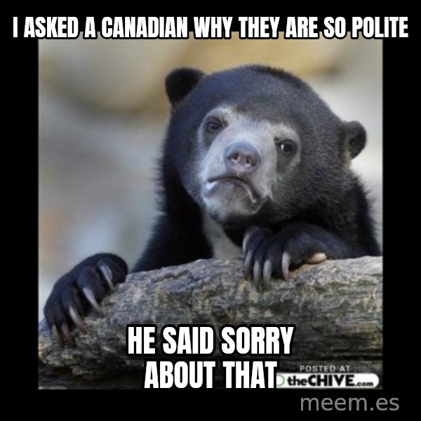 sad bear meme: I  ASKED A CANADIAN why they are so polite / he said sorry about that