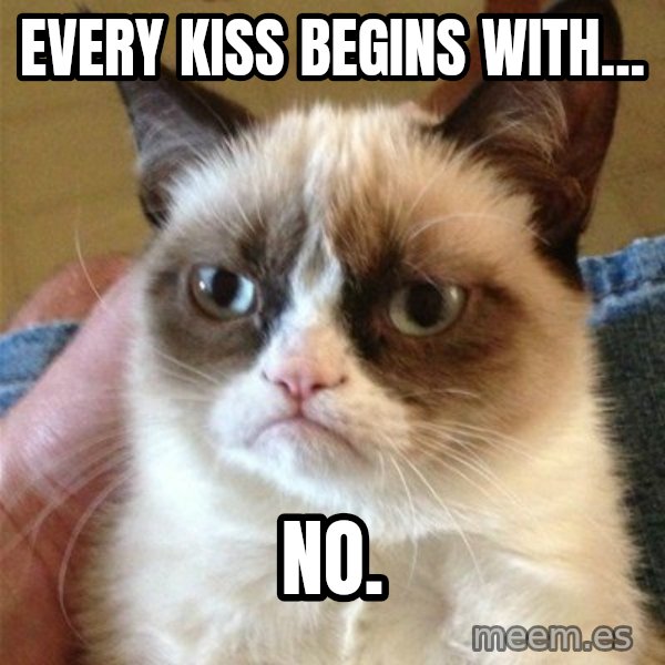 Grumpy Cat  meme: Every kiss begins with... / No.