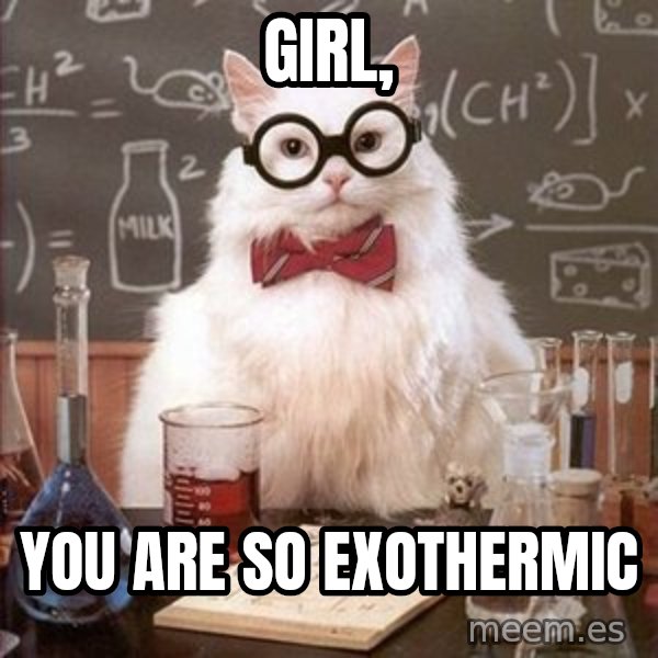 Chemistry Cat meme: girl, / you are so exothermic