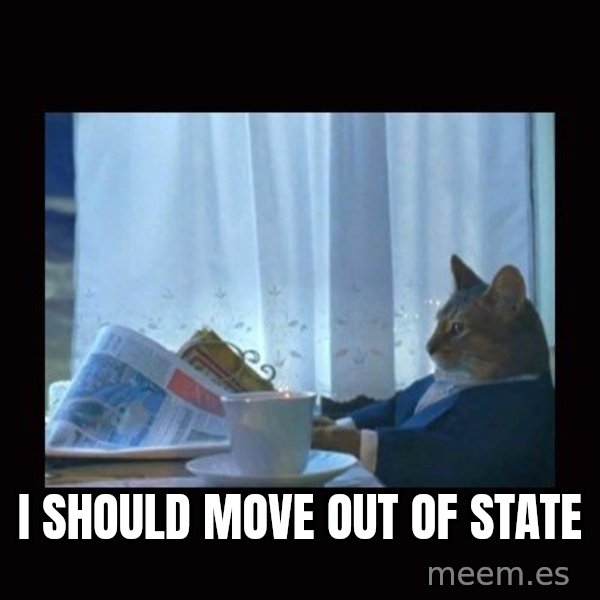 i should buy a boat cat meme: I should move out of state