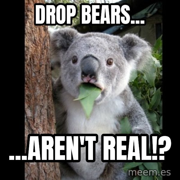 Koala can't believe it meme: drop bears... / ...aren't real!?