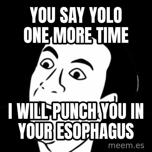 you don't say meme meme: YOU SAY YOLO ONE MORE TIME / I WILL PUNCH YOU IN YOUR ESOPHAGUS