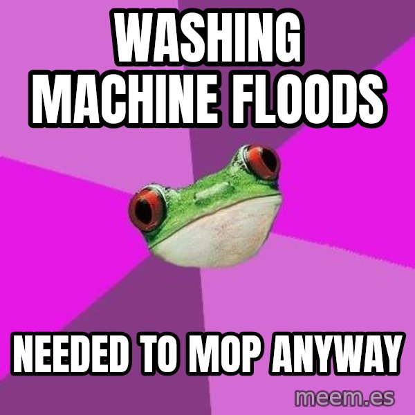 Foul Bachelorette Frog meme: Washing machine floods / needed to mop anyway