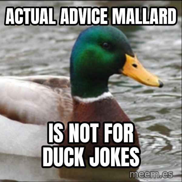 Actual Advice Mallard 1 meme: Actual Advice Mallard / is not for duck jokes
