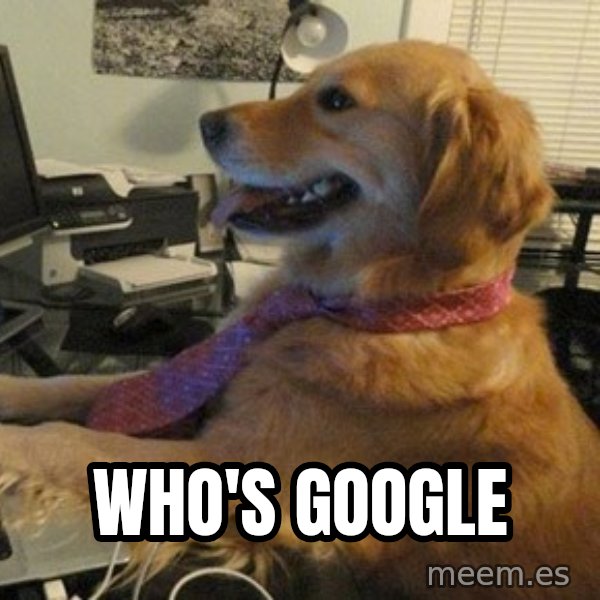 I have no idea what I'm doing - Dog with Tie meme: WHO'S GOOGLE