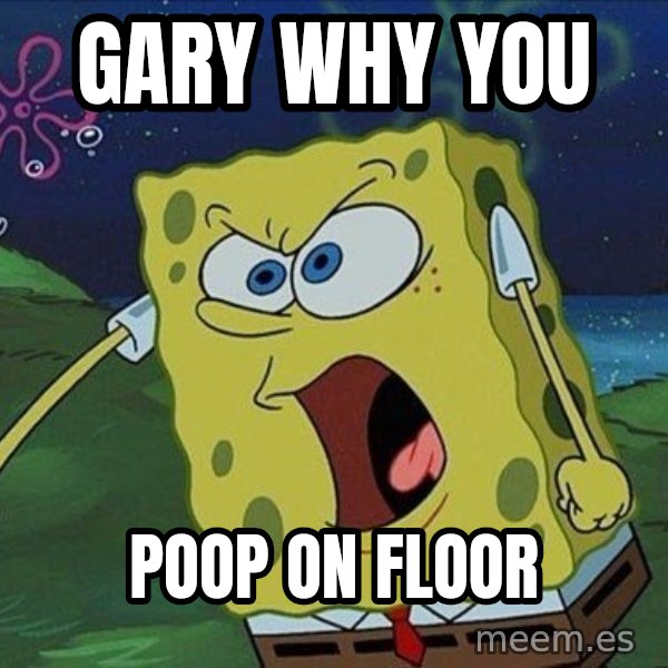 Spongebob Rage meme: gary why you / poop on floor
