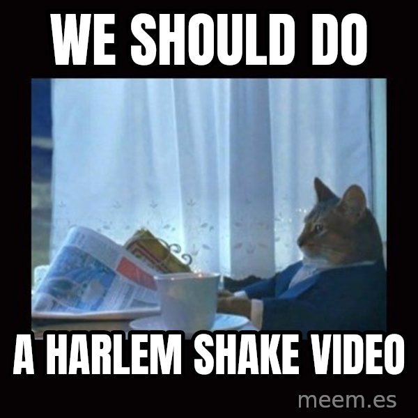 i should buy a boat cat meme: we should do / a harlem shake video