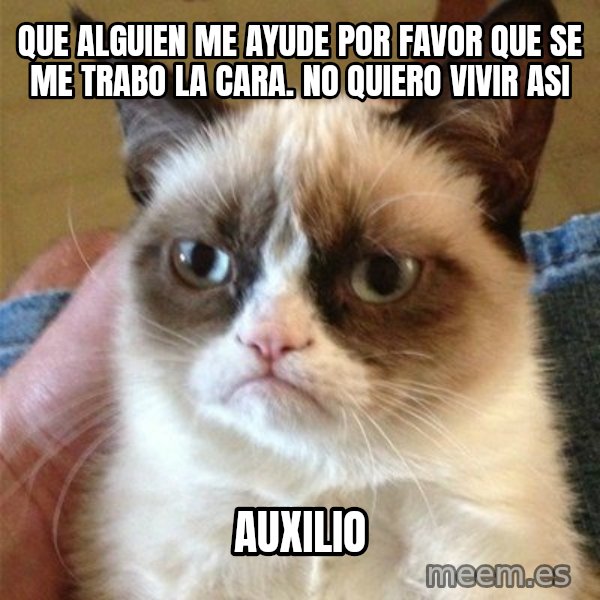 Grumpy Cat  meme: que alguien me ayude por favor que se me trabo la cara. no quiero vivir asi / auxilio