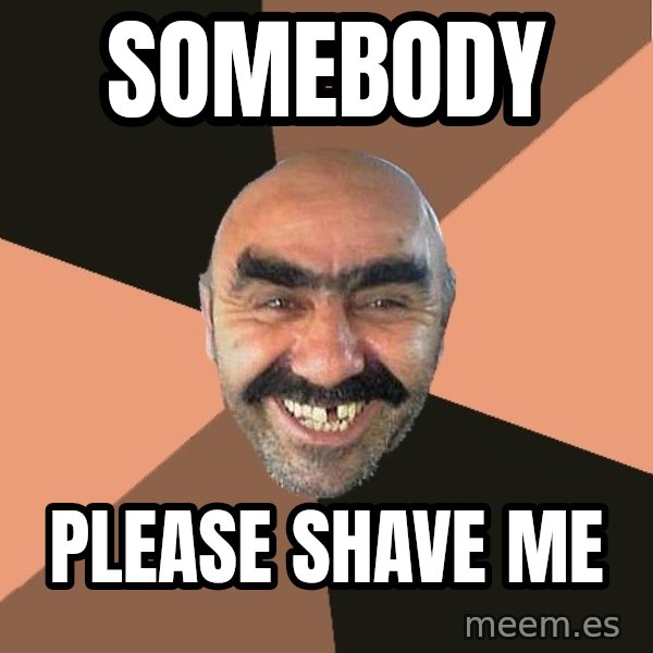 Provincial Man meme: somebody / please shave me