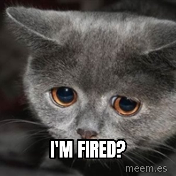 Sadcat meme: I'm Fired?