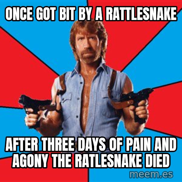 Chuck Norris  meme: once got bit by a rattlesnake / after three days of pain and agony the ratlesnake died