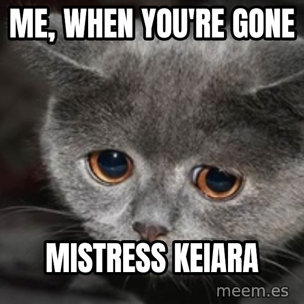 Sadcat meme: Me, when you're gone / Mistress Keiara
