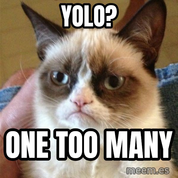 Grumpy Cat  meme: YOLO? / One too many