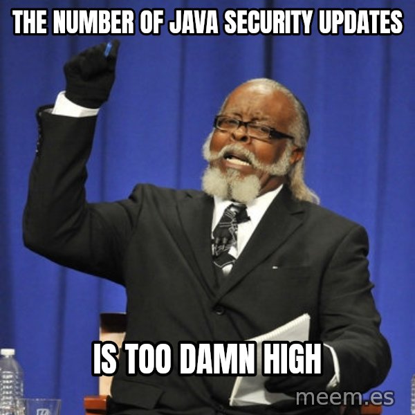 Rent Is Too Damn High meme: the number of java security updates / is too damn high