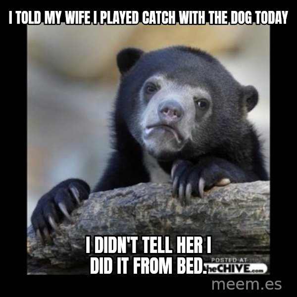 sad bear meme: i told my wife i played catch with the dog today / i didn't tell her i did it from bed.