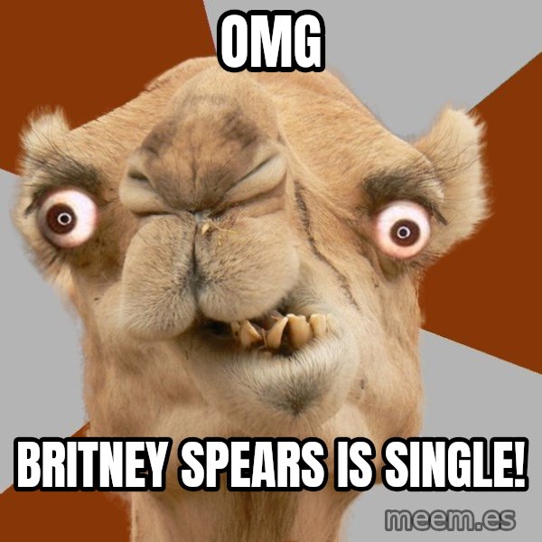 Crazy Camel lol meme: omg / Britney spears is single!