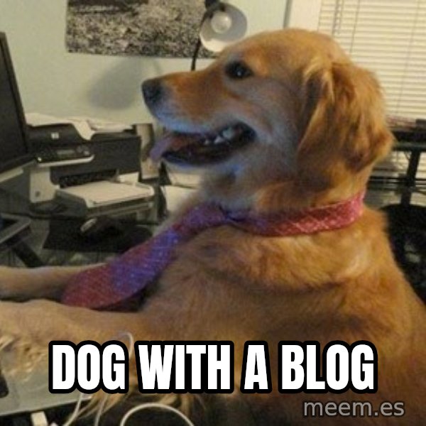 I have no idea what I'm doing - Dog with Tie meme: DOG WITH A BLOG