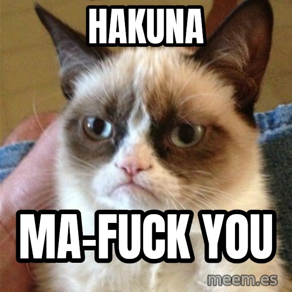 Grumpy Cat  meme: hakuna / ma-fuck you