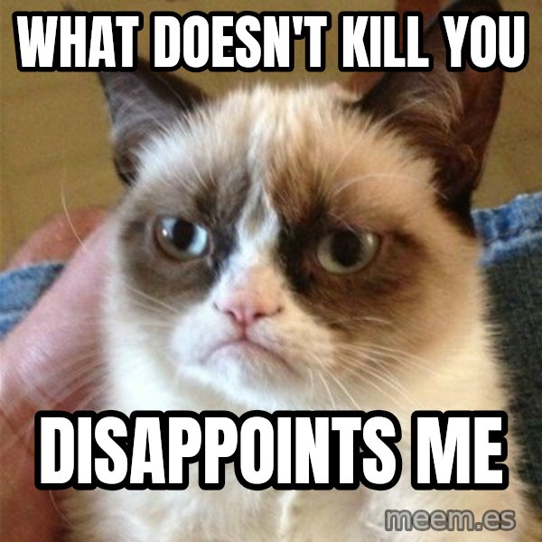 Grumpy Cat  meme: WHAT DOESN'T KILL YOU / DISAPPOINTS ME
