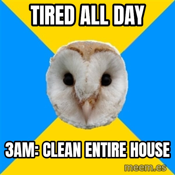 Bipolar Owl meme: TIred all day / 3am: CLean entire house