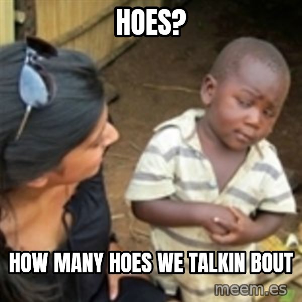 Skeptical african kid  meme: hoes? / how many hoes we talkin bout