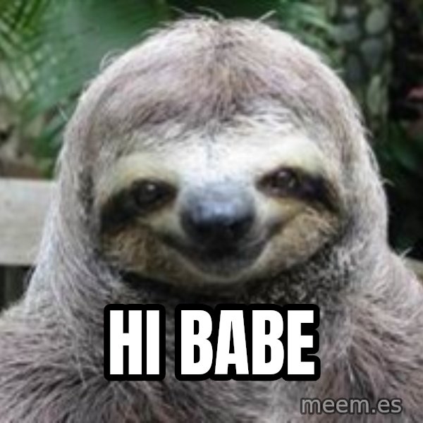 Sexual Sloth meme: Hi babe