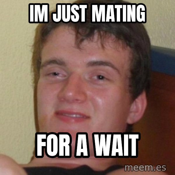 Stoner Guy meme: im just mating / for a wait