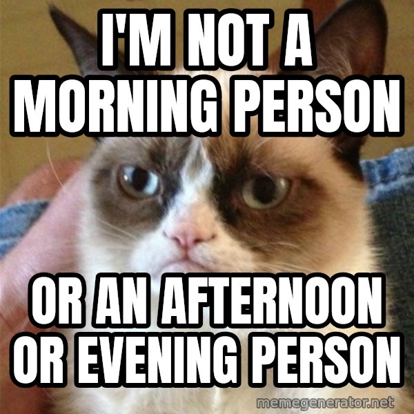 Grumpy Cat  meme: I'm not a morning person / or an afternoon or evening person