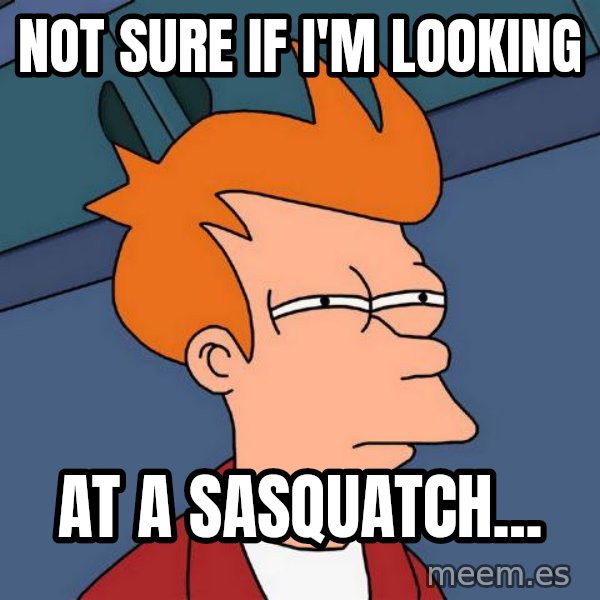 Futurama Fry meme: Not sure if i'm looking / at a sasquatch...