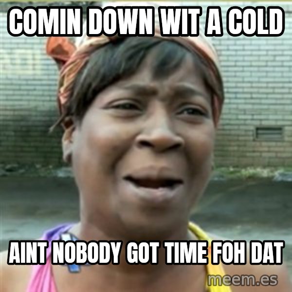 Ain't Nobody got time fo that meme: comin down wit a cold / aint nobody got time foh dat