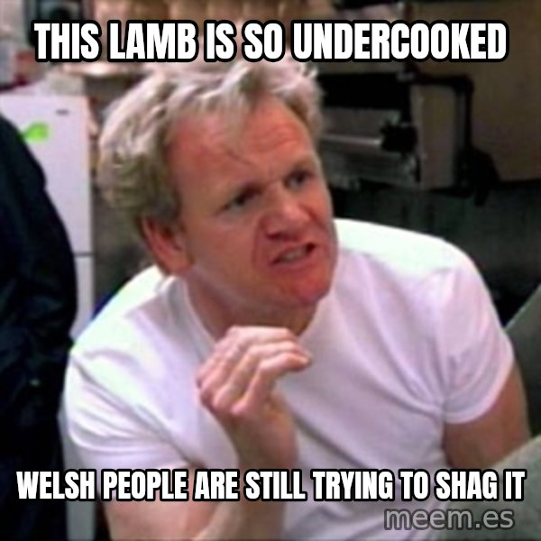 Gordon Ramsay meme: This lamb is so undercooked / welsh people are still trying to shag it