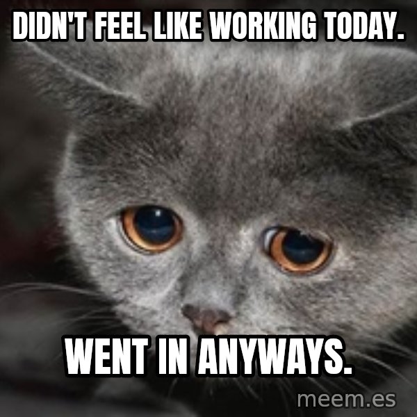 Sadcat meme: Didn't feel like working today. / went in anyways.