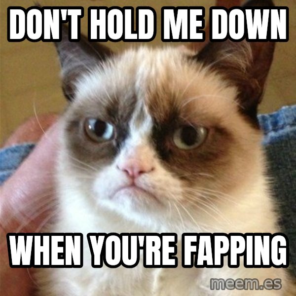 Grumpy Cat  meme: don't hold me down / when you're fapping