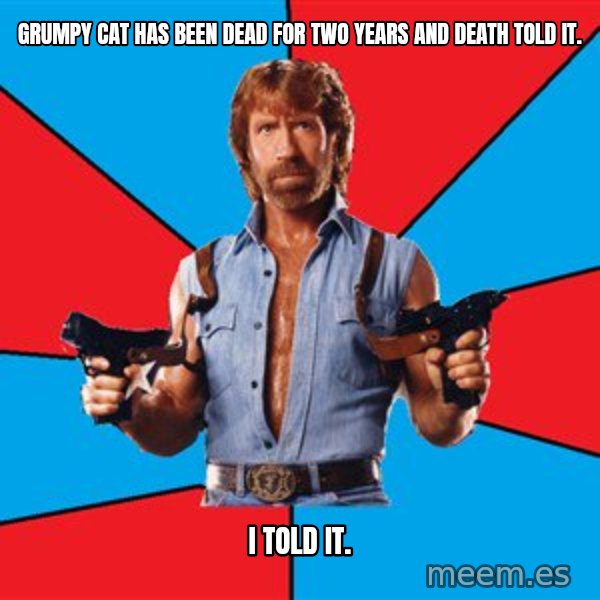Chuck Norris  meme: GRUMPY CAT HAS BEEN DEAD FOR TWO YEARS AND DEATH TOLD IT. / I TOLD IT.