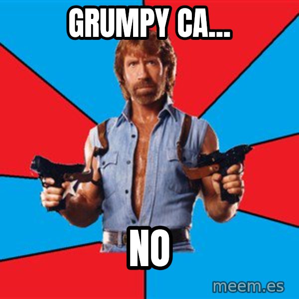 Chuck Norris  meme: GRUMPY CA... / NO
