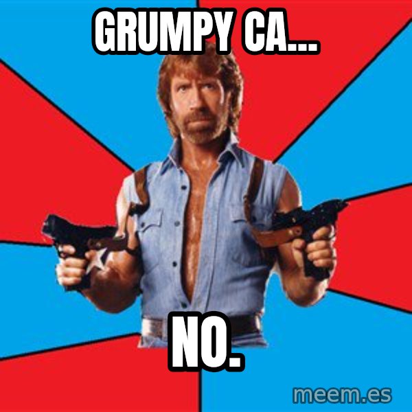 Chuck Norris  meme: GRUMPY CA... / NO.