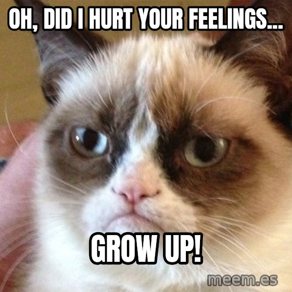 Angry Cat Meme meme: Oh, Did i hurt your feelings... / GROW UP!