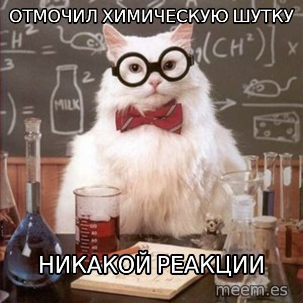 Chemistry Cat meme: Отмочил химическую шутку / никакой реакции