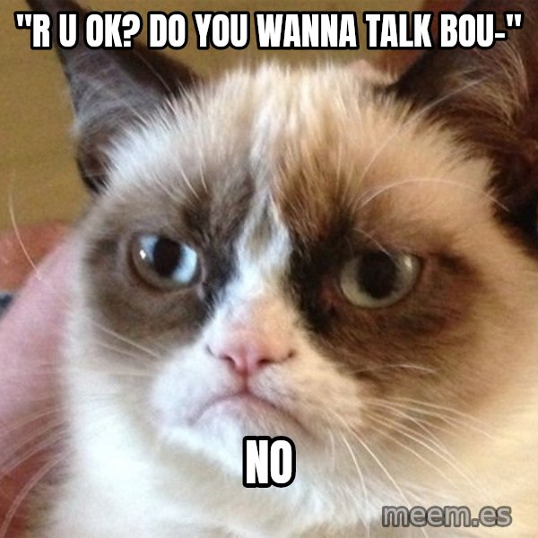 Angry Cat Meme meme: "r U Ok? do you wanna Talk Bou-" / NO