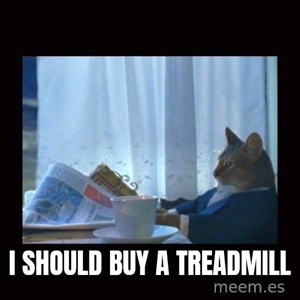 i should buy a boat cat meme: I should buy a treadmill