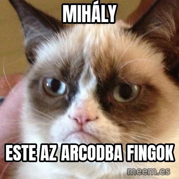 Angry Cat Meme meme: MIHÁLY / ESTE AZ ARCODBA FINGOK