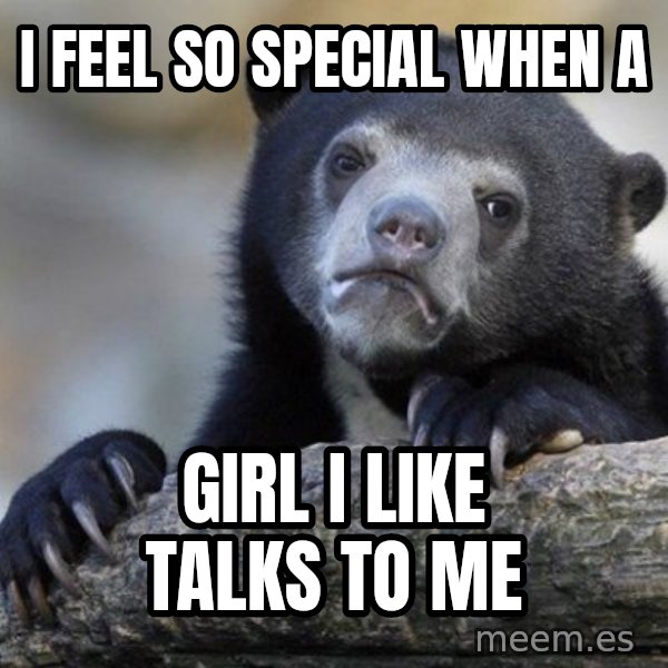 Confession Bear meme: I feel so special when a / girl I like talks to me