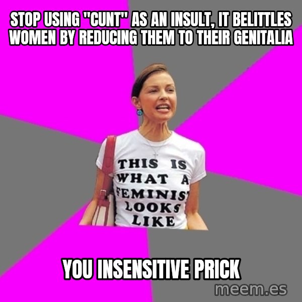 Feminist Cunt meme: sTOP USING "CUNT" AS AN INSULT, IT BELITTLES WOMEN BY REDUCING THEM TO THEIR GENITALIA / YOU INSENSITIVE PRICK