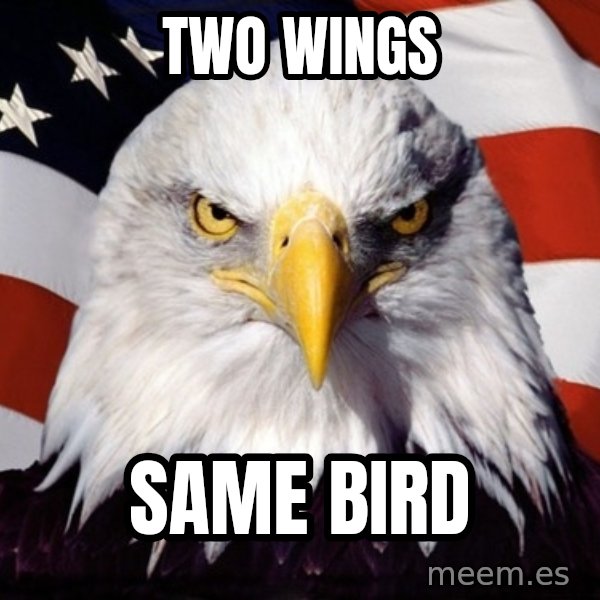 American Pride Eagle meme: two wings / same bird