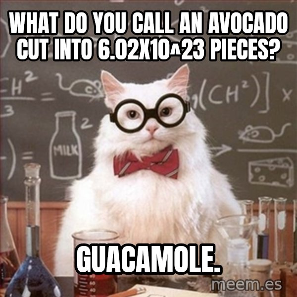 Science Cat meme: What do you Call an avocado CUT into 6.02x10^23 pieces? / GUACAMOLE.