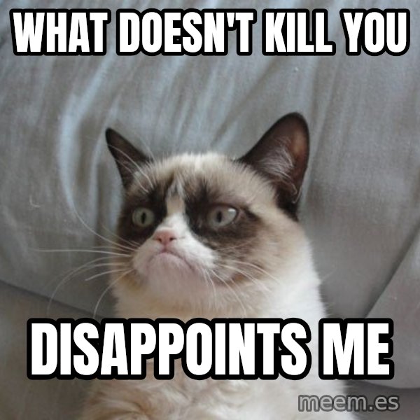 Grumpy cat good meme: What doesn't kill you / disappoints me