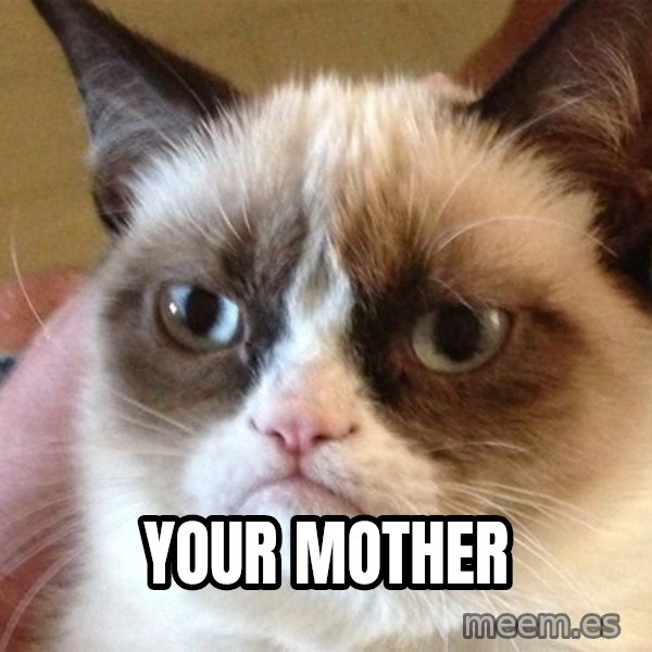 Angry Cat Meme meme: Your mother