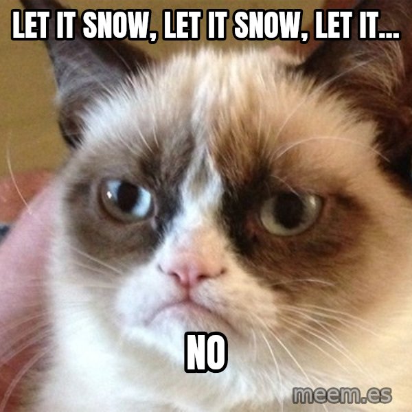 Angry Cat Meme meme: Let it snow, let it snow, let it... / NO