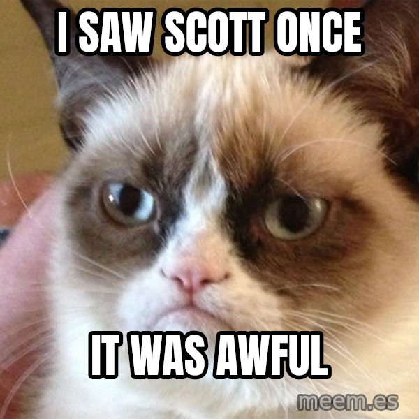 Angry Cat Meme meme: I SAW SCOTT ONCE / IT WAS AWFUL