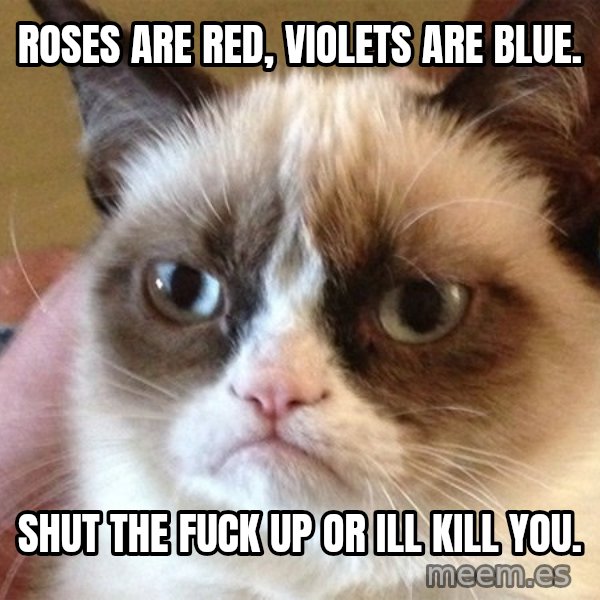 Angry Cat Meme meme: ROSES ARE RED, VIOLETS ARE BLUE. / SHUT THE FUCK UP OR ILL KILL YOU.